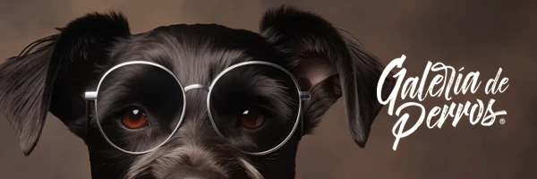 galeriadeperros
